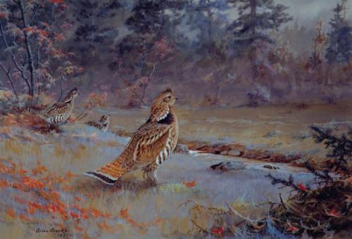 Ruffed Grouse