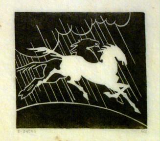 Two Stallions in the Rain