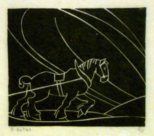Draft Horse