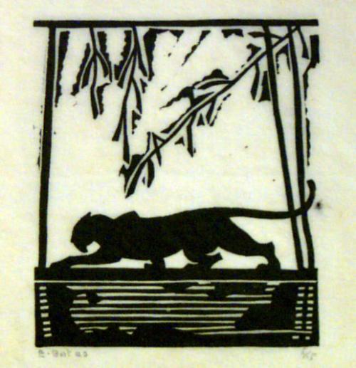 Stalking Panther