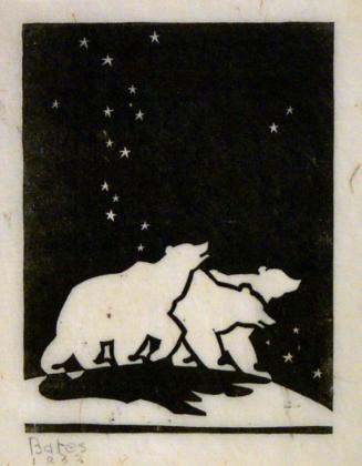 Three Bears with Stars in Sky