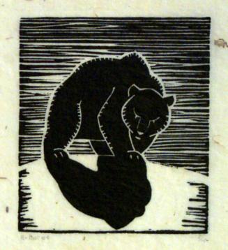 Bear with Shadow