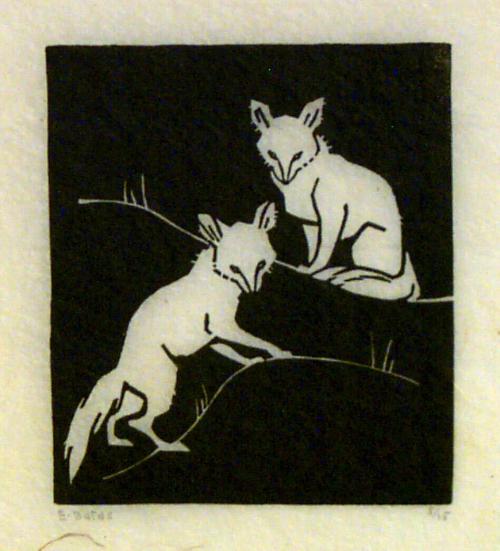 Pair of Fox