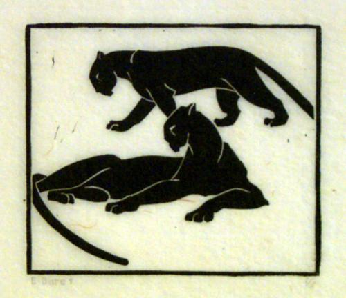 Two Pumas (one resting, one walking)