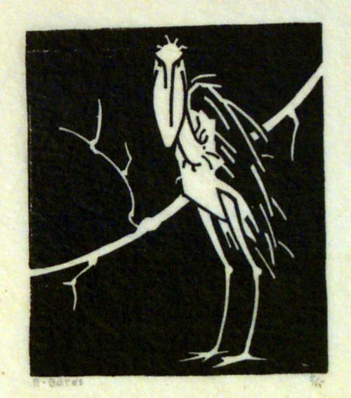 Standing Stork