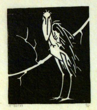 Standing Stork