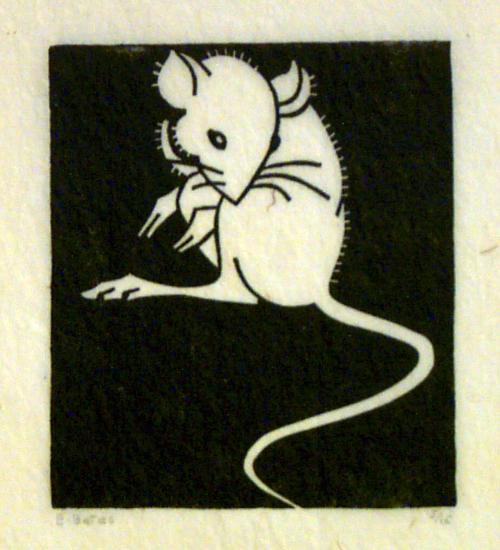Sitting Kangaroo Rat
