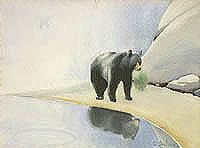 Bear by Lake