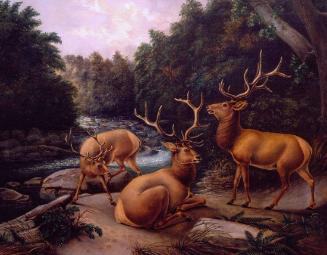 Three Elk