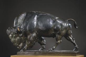 Buffalo (Prairie Monarch)