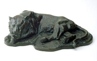 Resting Cougar
