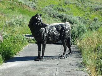 Tribute to the Gray Wolf