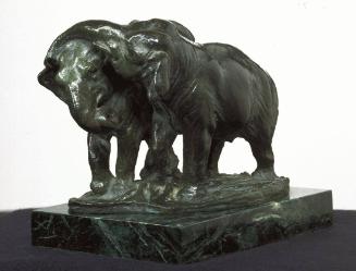 Courtship of Two Elephants