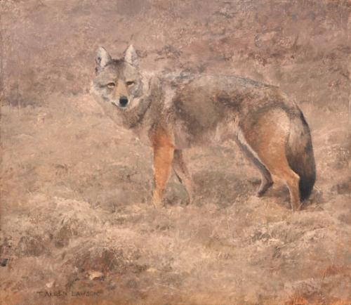 Camouflaged