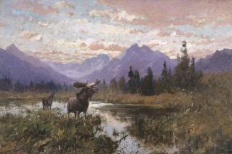 Red Eagle Lake (Glacier National Park)