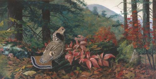 Louis Agassiz Fuertes