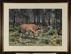 Hirsch im Wald