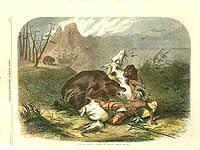 Magazine Illustration