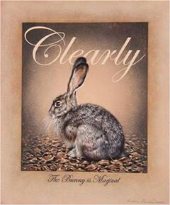 Michelle's Magical Bunny