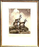 On the Great Plains: Pronghorn Antelope