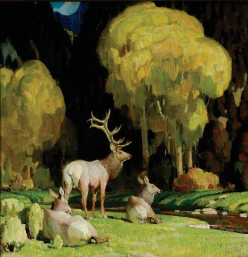 October in the Canyon Bottom