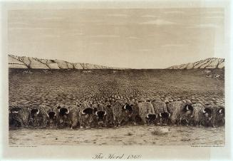 The Herd, 1860