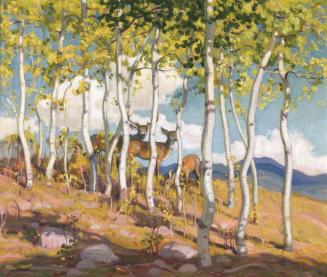 Deer Among the Aspens