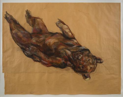 Untitled (Bear Laying Down)