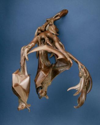 Fruit Bats and Eucalyptus