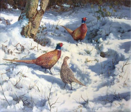 Pheasants in the Snow