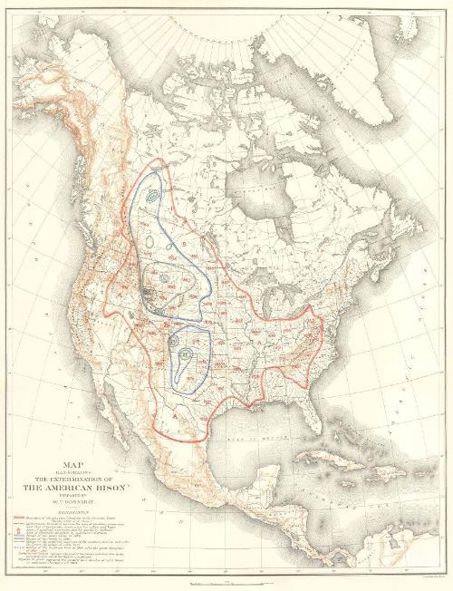 William Temple Hornaday