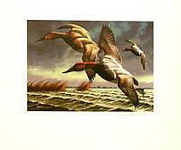 Federal Duck Stamp Design