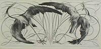 Eiher (Herons)