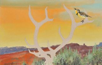 Western Meadowlark