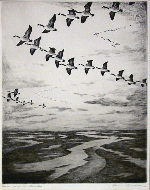 Geese Over the Marshes