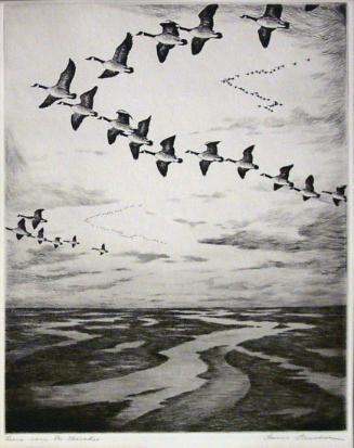 Geese Over the Marshes