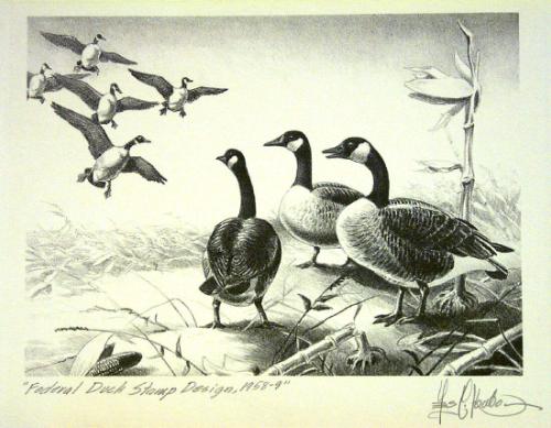 Federal Duck Stamp Design, 1958