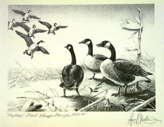 Federal Duck Stamp Design, 1958