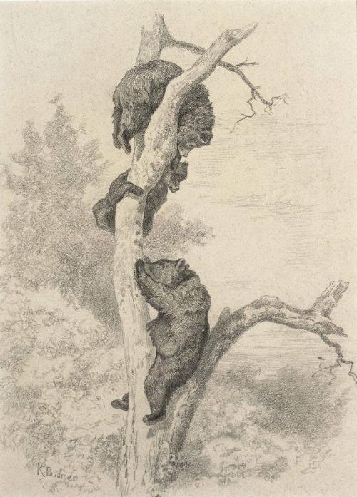 Une Famille d'Acrobats