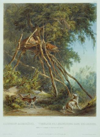 Tombs of Assiniboin Indians on Trees