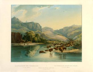 Herds of Bisons and Elks on the Upper Missouri