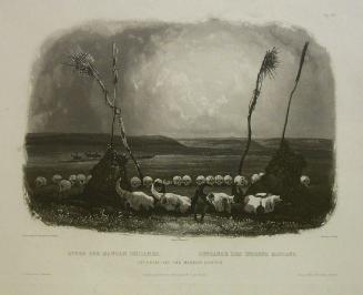 Offering of the Mandan Indians