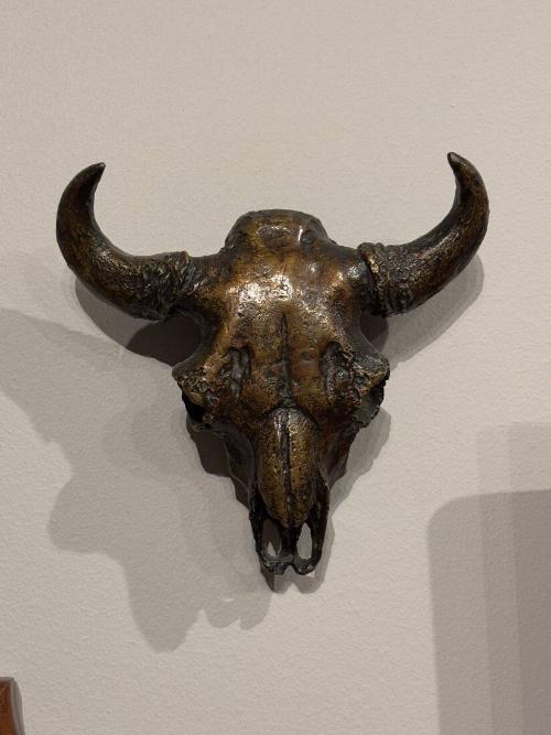 Untitled Bison Skull