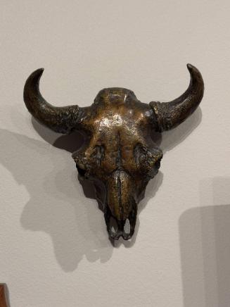Untitled Bison Skull