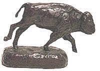 A Young Bison