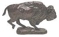 A Charging Bison