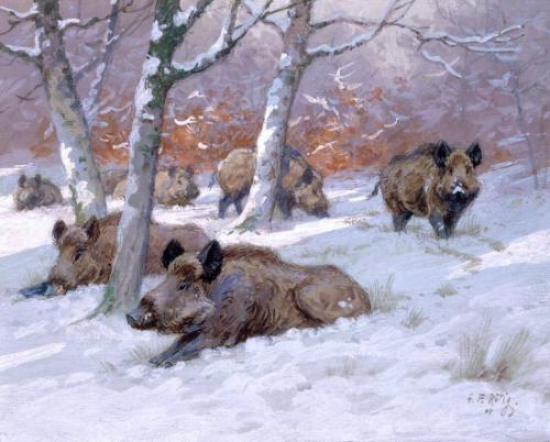 Wild Boars in a Wood, under Snow