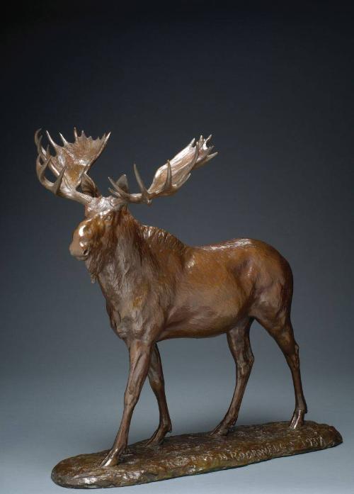 Moose