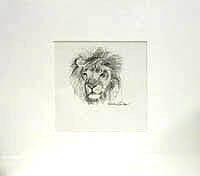 Untitled - Sketch of lion's head