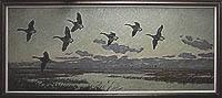 Marsh, Canada Geese